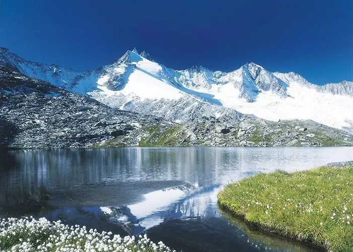 Stefan アパート *