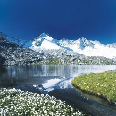 Stefan Διαμέρισμα *